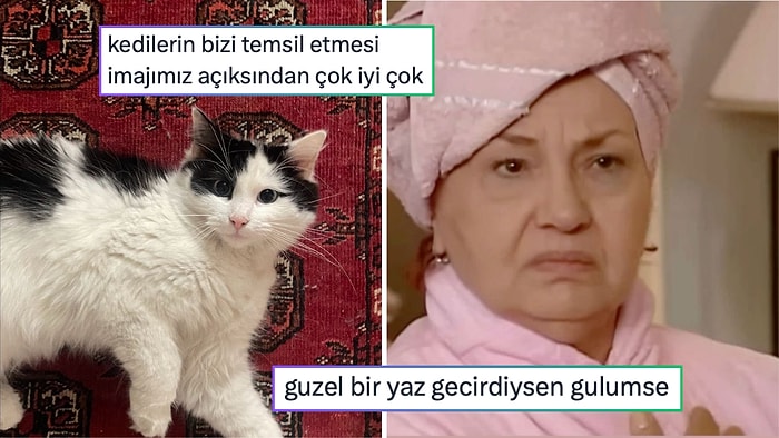 Bizi Kedilerin Temsil Etmesinin Verdiği Mutluluktan Sevgiliye Duyulan Sonsuz Güvene  24 Saatin Viral Tweetleri