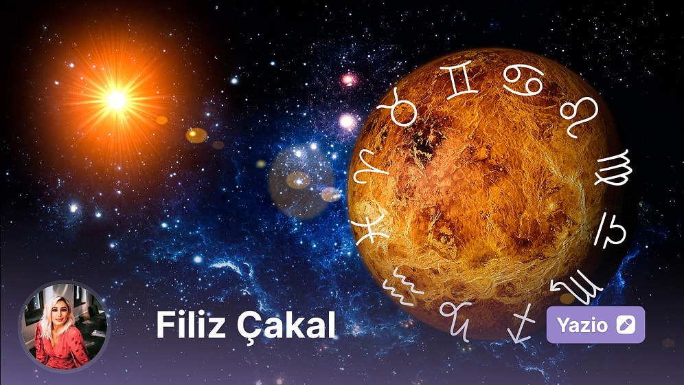 25 - 31 Ağustos Haftası Z Raporu