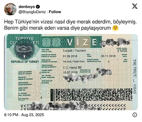 Türkiye vizesi nasıl görünüyor?