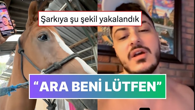 'Ara Beni Lütfen' Şarkısını Yorumlayan Semicenk'i Dinleyen Atın Gözleri Doldu