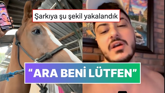 'Ara Beni Lütfen' Şarkısını Yorumlayan Semicenk'i Dinleyen Atın Gözleri Doldu