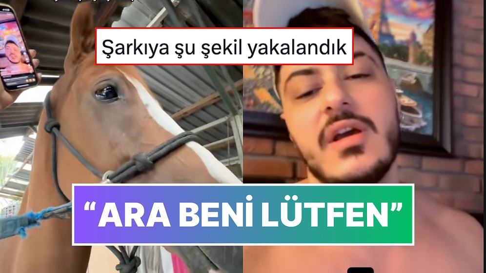 'Ara Beni Lütfen' Şarkısını Yorumlayan Semicenk'i Dinleyen Atın Gözleri Doldu