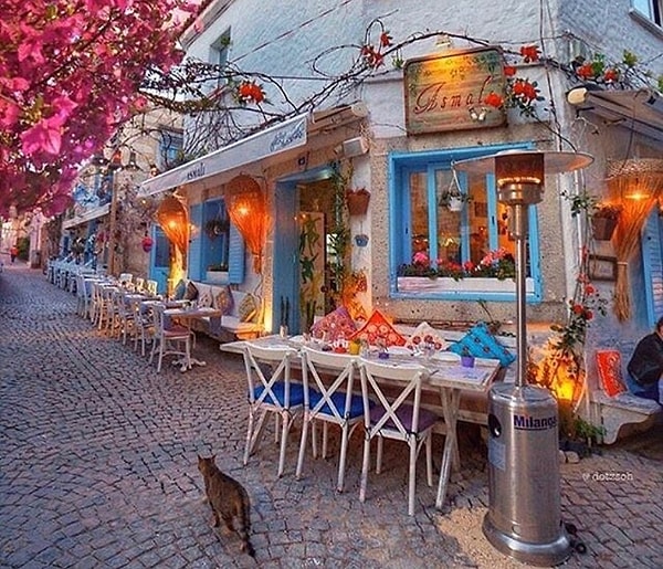 5. Asmalı Alaçatı