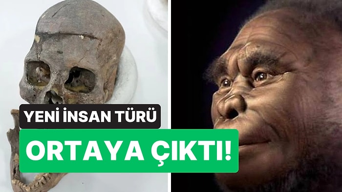 Kolombiya’da 6 Bin Yıllık Kaybolmuş İnsan Türü Keşfedildi