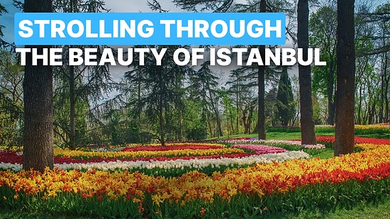 Best Walking Spots in Istanbul: Parks, Trails & Beaches