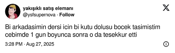 Galiba dersten sonra o böcekler yendi.
