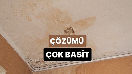 Her Şeyin Bir Çaresi Var! Ev Rutubeti Nasıl Temizlenir?