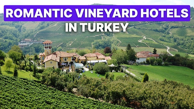 Where to Go Wine Tasting in Turkey: Top Vineyard Stays