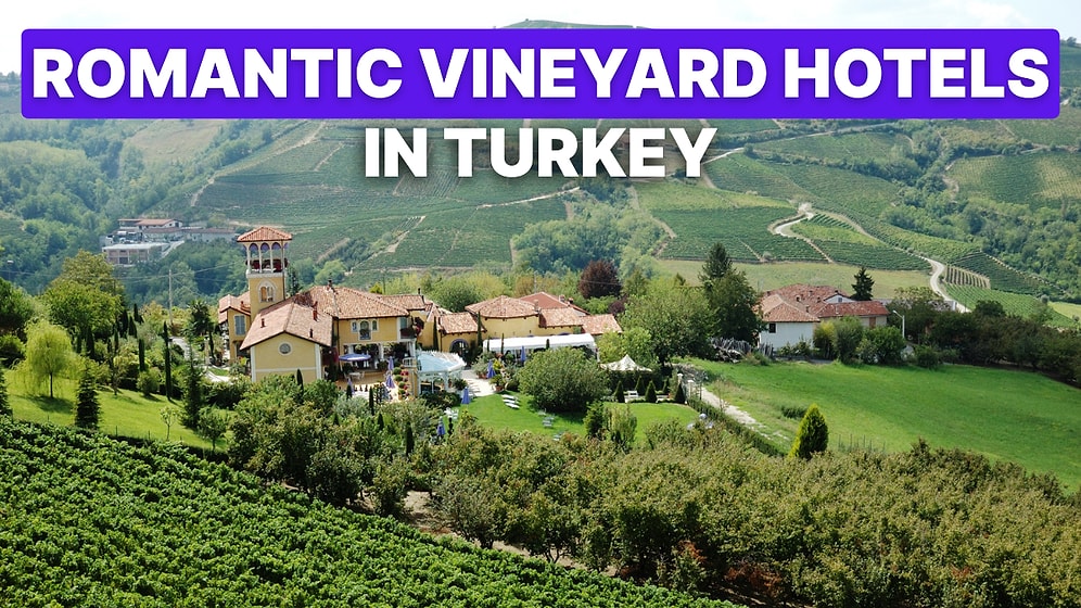 Where to Go Wine Tasting in Turkey: Top Vineyard Stays