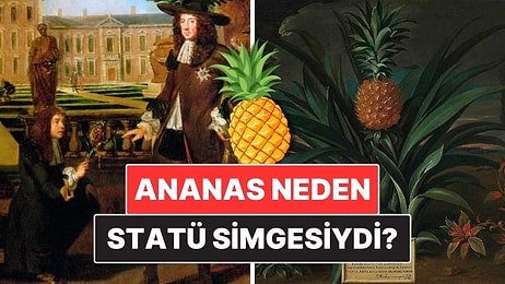 Ananas Neden Bir Zamanlar Statü ve Lüksün Simgesiydi?