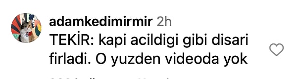 👇