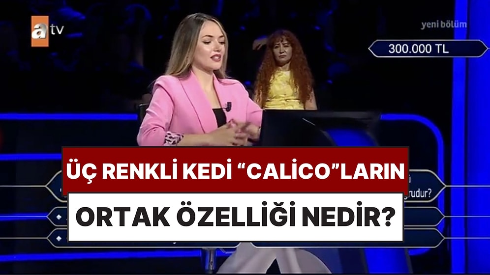 "Üç Renkli Kedi Olarak da Bilinen ve "Calico" Olarak Adlandırılan Kedilerle Alakalı Hangi Bilgi Doğrudur?