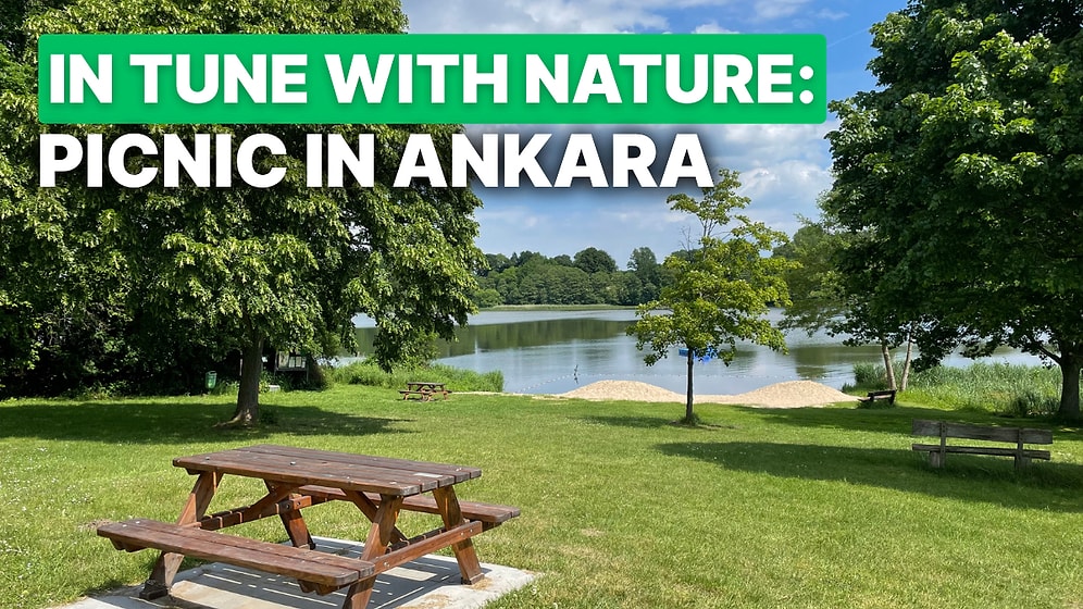 The Best Picnic Areas in Ankara for Families and Friends