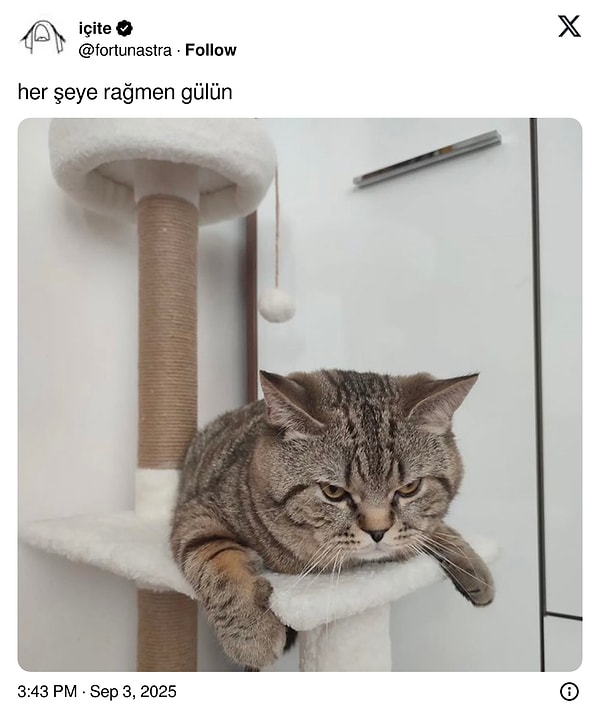 Sana diyecek sözümüz yok kral!