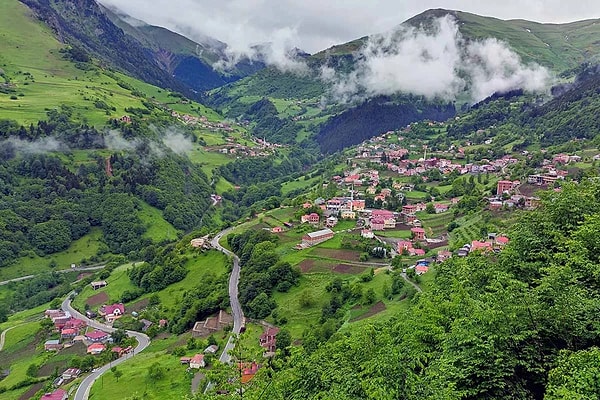 Hamsiköy — Trabzon's mountain pasture and rice pudding village
