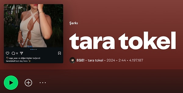 Ege isimli bir şarkıcının "Tara Tokel" adlı şarkısı, geçtiğimiz yıl müzik dünyasında dikkat çeken bir çıkış yaptı.