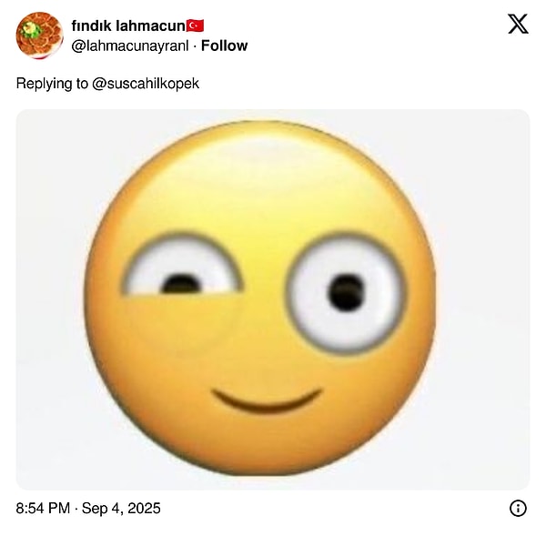 👇🏻
