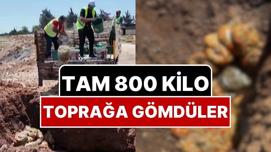Gıda Sahtekarları İfşa Edildi! Mide Bulandıran Görüntüler: 800 Kilo Ürünü Toprağa Gömdüler