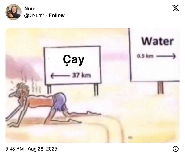 👇🏻