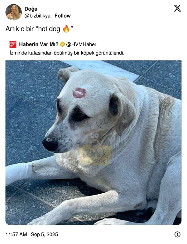 😂😂😂