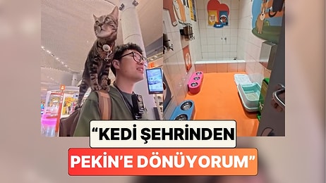 Omzunda Kedisiyle Pekin'e Dönen Bir Çinli Gördüğü İlgiyi ve Havaalanının İmkanlarını Paylaştı