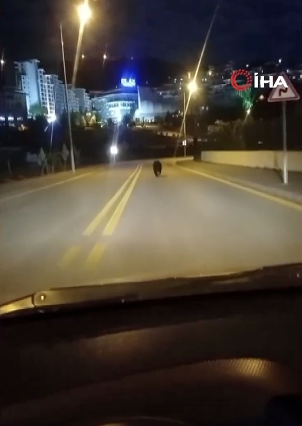 Kimi bir arkadaşına, kimi de eski sevgilisine benzetti! :)