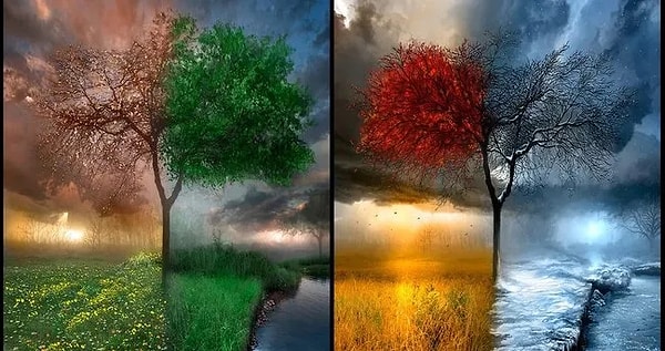 8. Hangi iklimi tercih edersin?