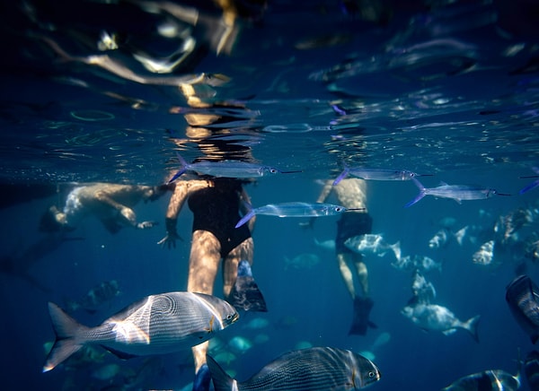 What to Do on Tisan Island?