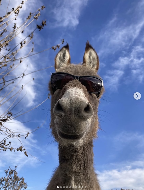"Pardon canım bir şey mi dedin? Instagram'ın resmi hesabındayım da sesin duyulmuyor 😎"