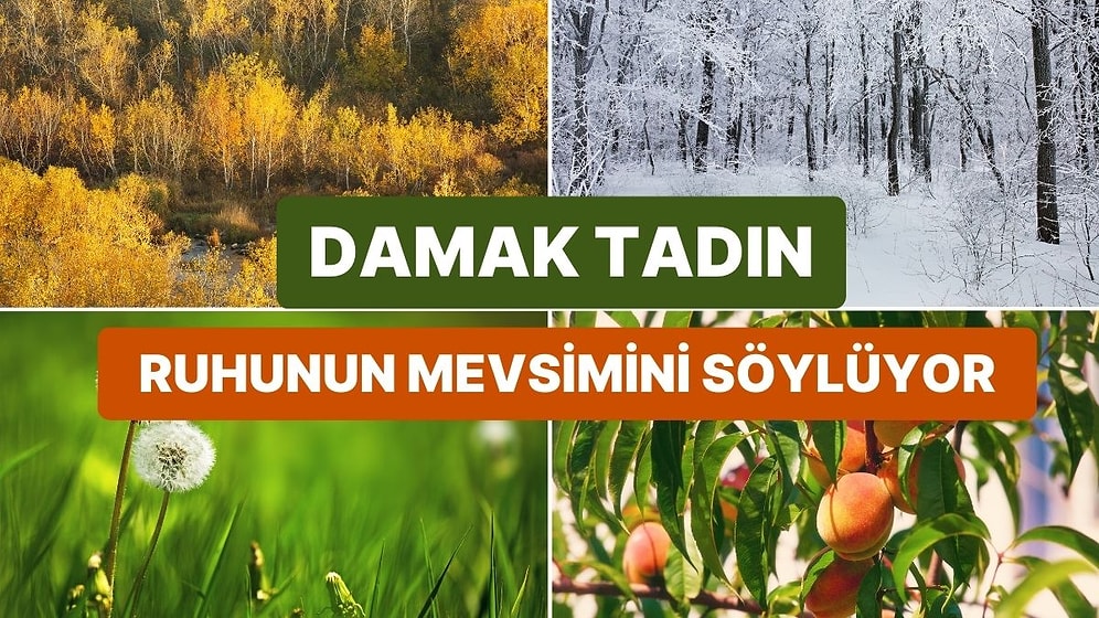 Seçtiğin Ara Öğünlere Göre Senin Ruhun Hangi Mevsime Ait?