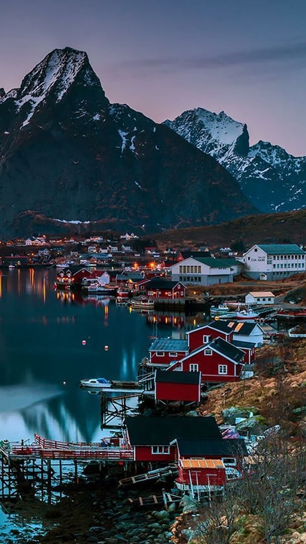 Norveç