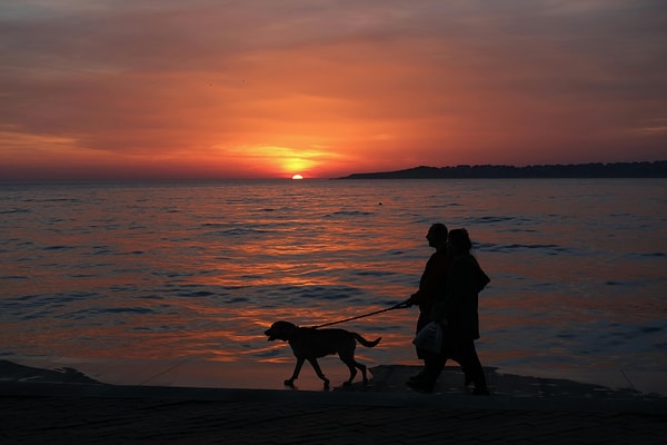 Stroll Through the Bosphorus Strait