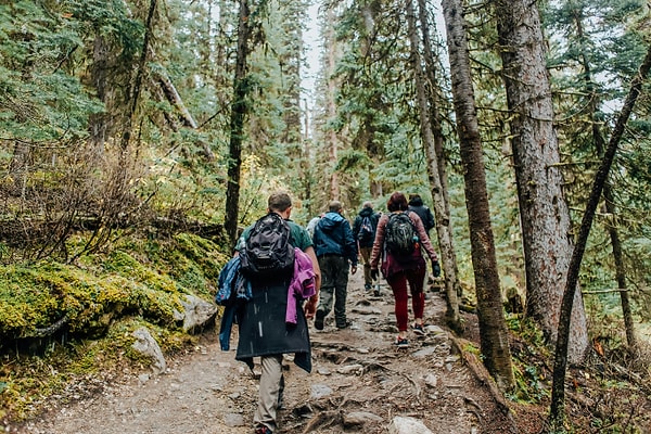 10. Forest Walk and Picnic Fun in Akbaba Village