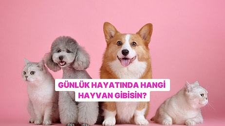 Günlük Hayatta Hangi Hayvan Gibi Davranıyorsun?