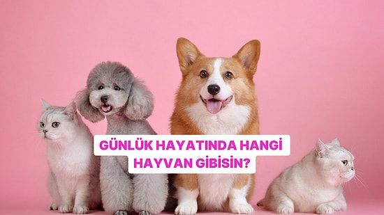 Günlük Hayatta Hangi Hayvan Gibi Davranıyorsun?
