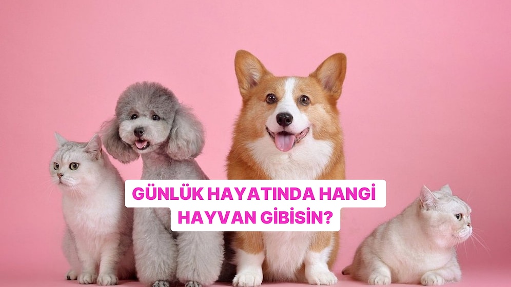 Günlük Hayatta Hangi Hayvan Gibi Davranıyorsun?