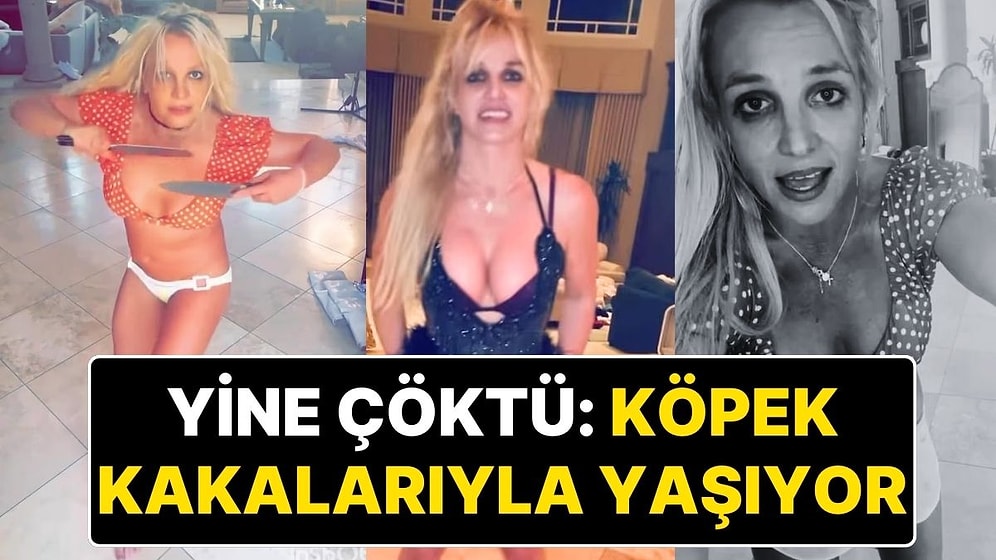 Dünyaca Ünlü Şarkıcı Britney Spears Yine Çöküşe Geçti: Evi Köpek Kakalarıyla Dolu!