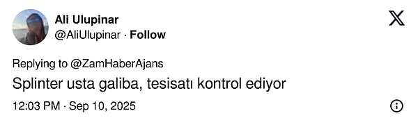 Bir hayvana ait olduğu görülen parmaklar için pek çok yorum yapıldı.