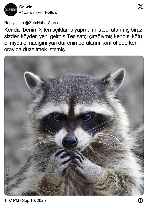 👇