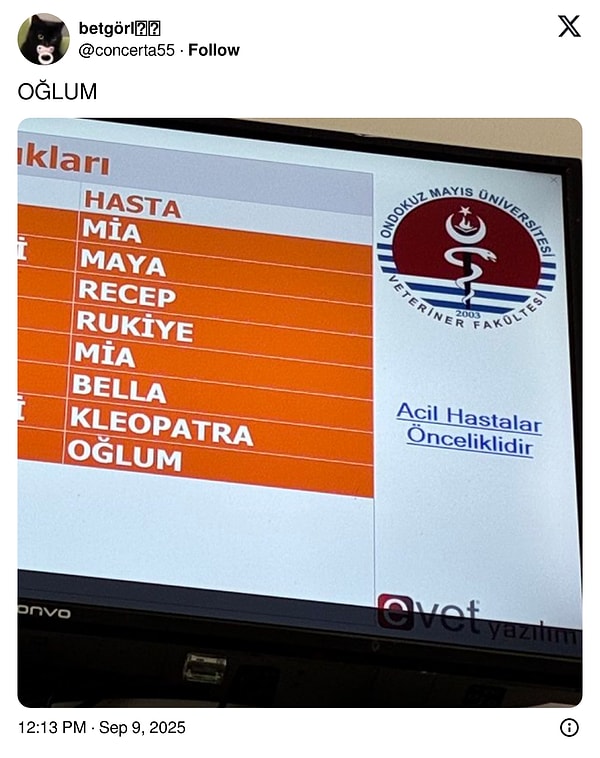 Ekrandaki isimlere biraz daha yakından bakmak ister misiniz? :)