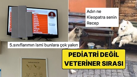 Veteriner Kliniğinin Bekleyen Hasta Ekranındaki Bi' Acayip İsimler