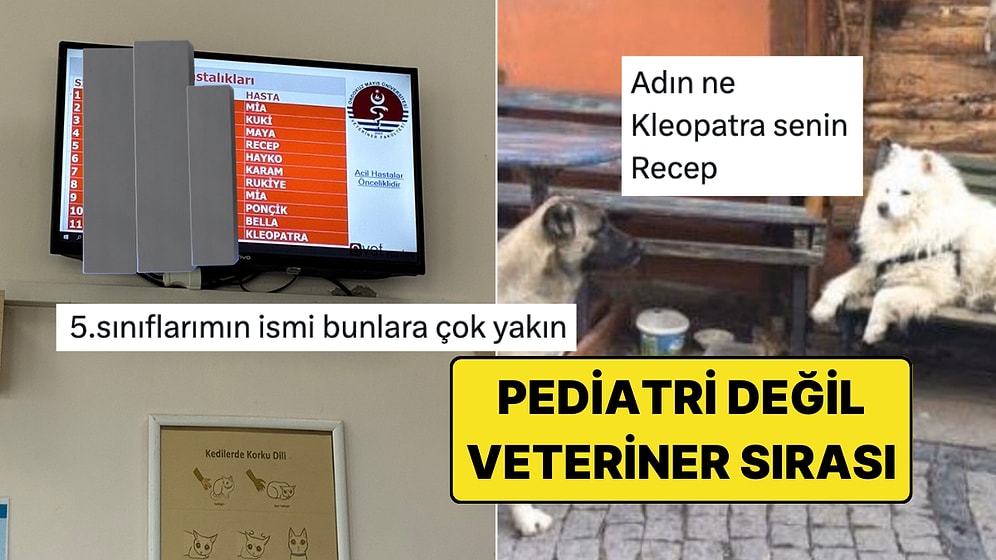Veteriner Kliniğinin Bekleyen Hasta Ekranındaki Bi' Acayip İsimler