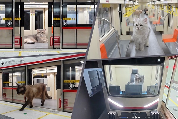 Xing Zhilei’nin inşa ettiği mini metro istasyonu “Cat Town” adıyla tanıtıldı.