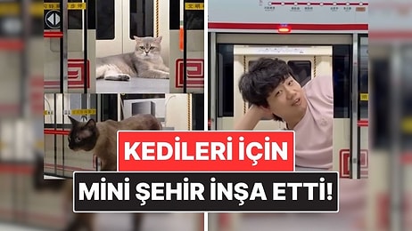 Çinli Bir İçerik Üreticisi Kedileri İçin Resmen Mini Şehir İnşa Etti!