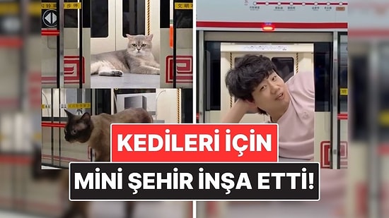 Çinli Bir İçerik Üreticisi Kedileri İçin Resmen Mini Şehir İnşa Etti!
