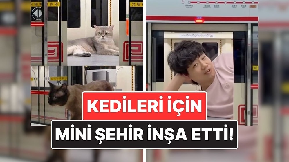 Çinli Bir İçerik Üreticisi Kedileri İçin Resmen Mini Şehir İnşa Etti!