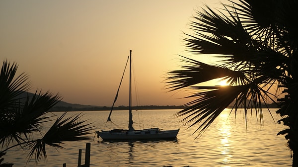 Practical Information and Safety Tips in Ayvalık