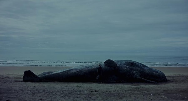4. A Whale (Una ballena) – 2024
