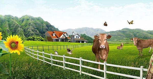 5. Çiftlikte 3 tavuk ve 4 koyun var. Toplam kaç bacak var?