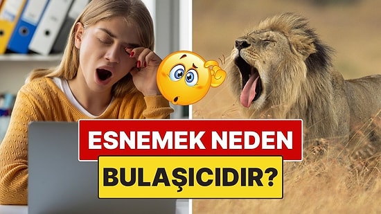 Okurken Esneyeceksiniz: Esnemek Neden Bulaşıcıdır?